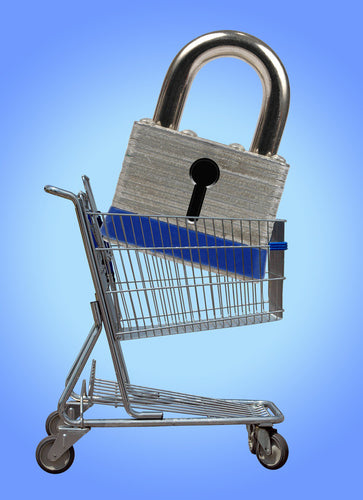 Shopping Cart and Security Questions