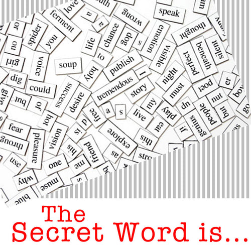 The Secret Word Game